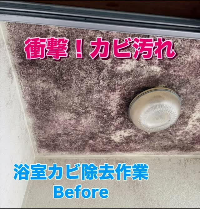 🛁 浴室天井のカビ除去｜Before → After
