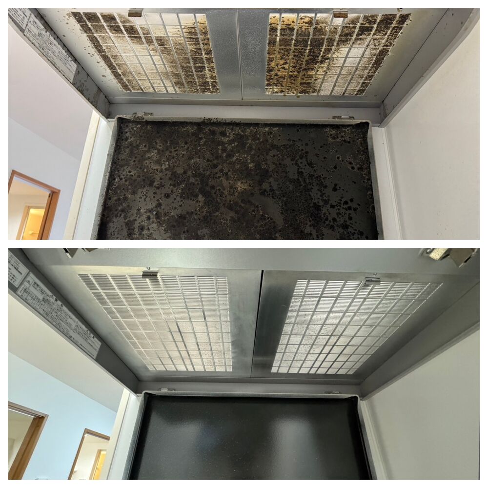 画像6069