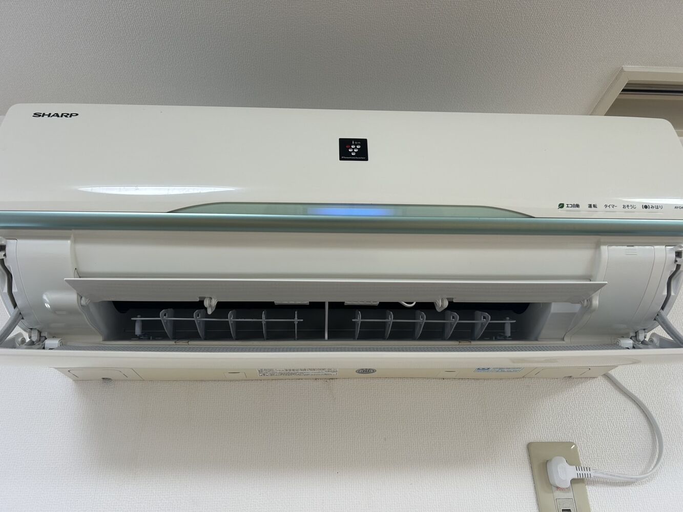 画像7768